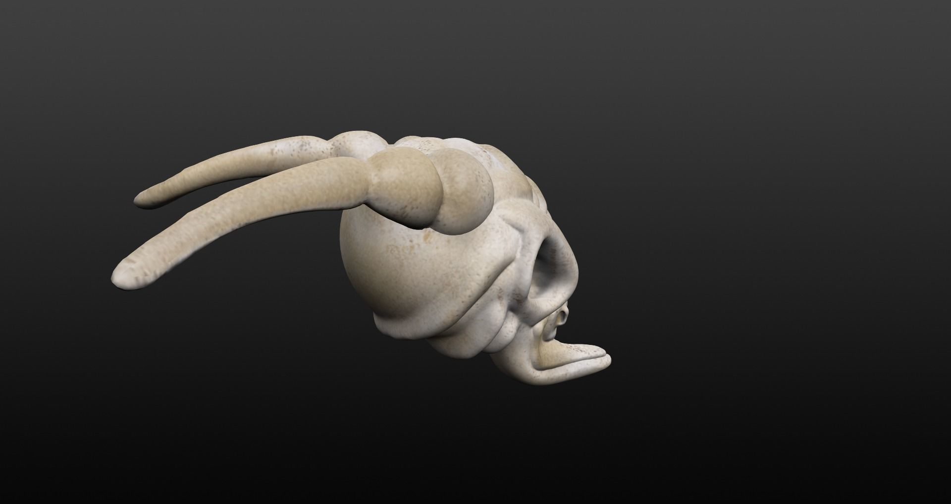 Skull goat head Low-poly 3D model_15