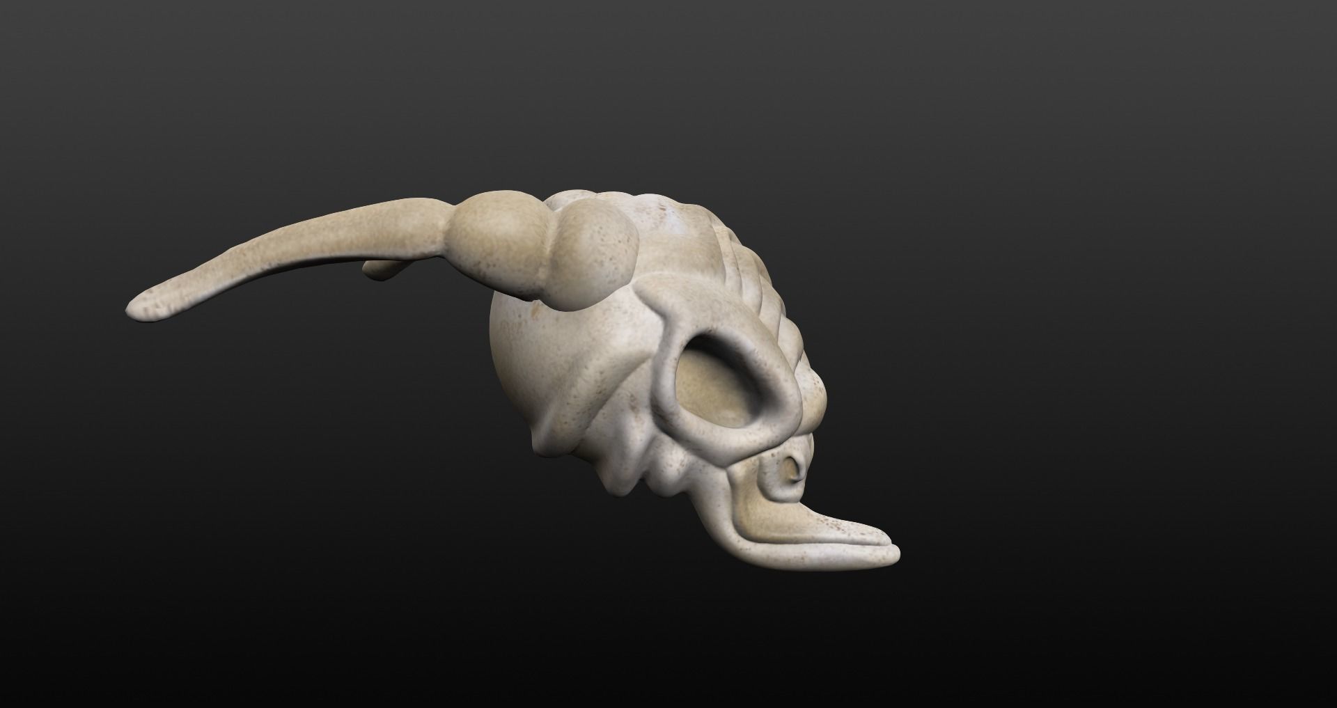 Skull goat head Low-poly 3D model_3