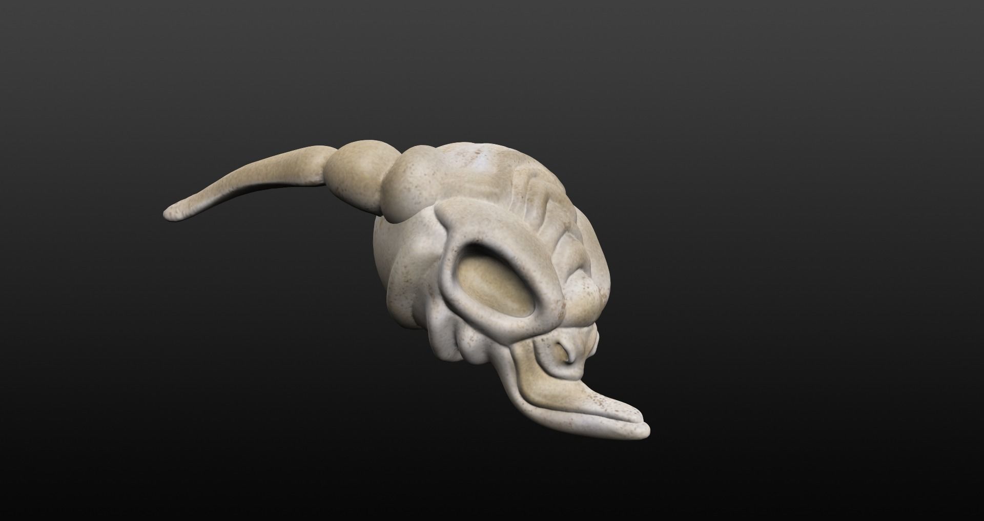 Skull goat head Low-poly 3D model_42