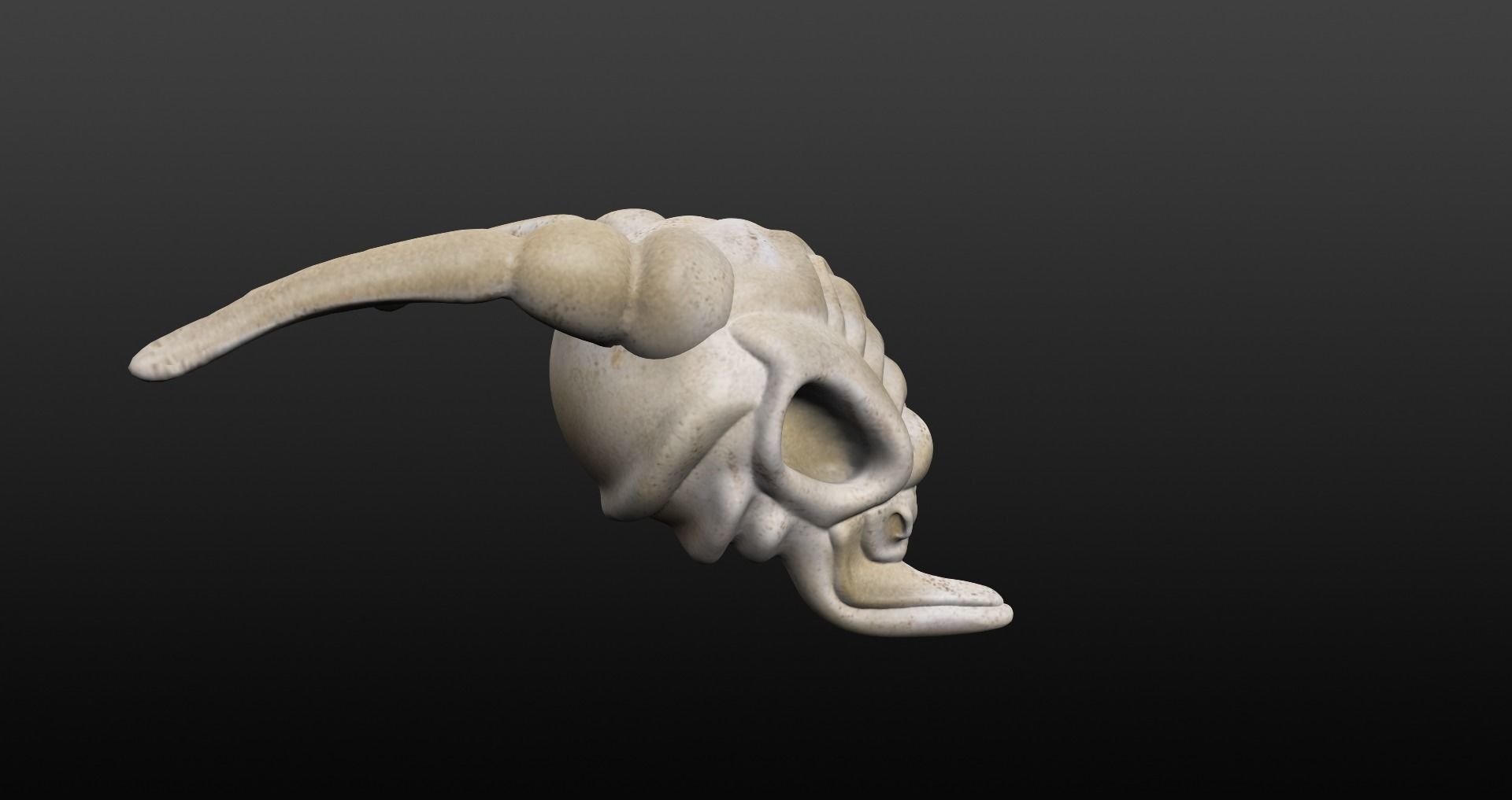 Skull goat head Low-poly 3D model_5