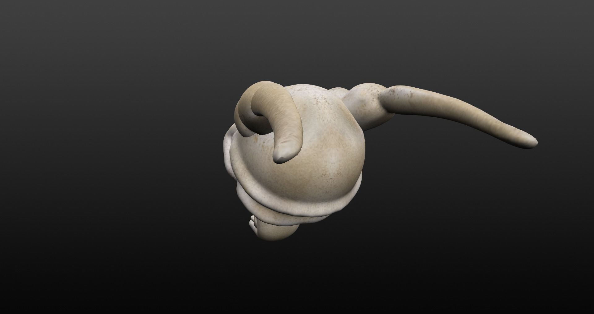 Skull goat head Low-poly 3D model_39