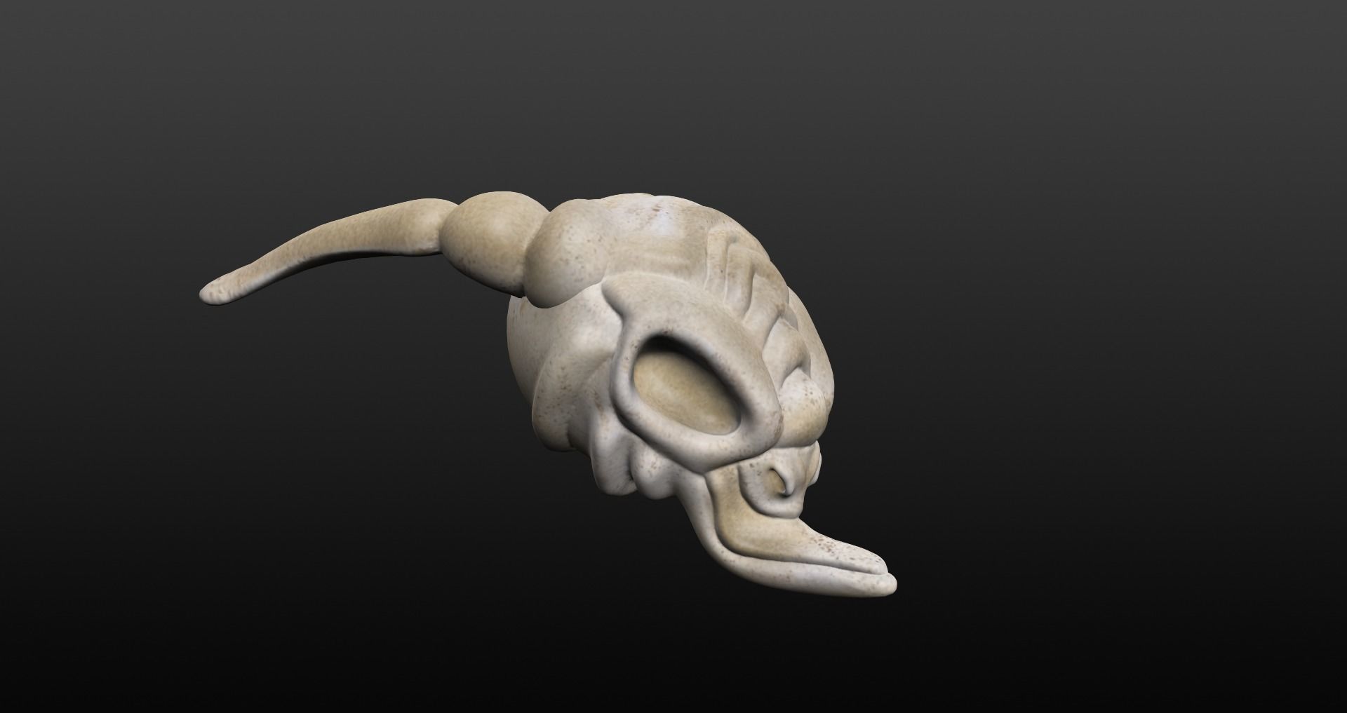 Skull goat head Low-poly 3D model_43