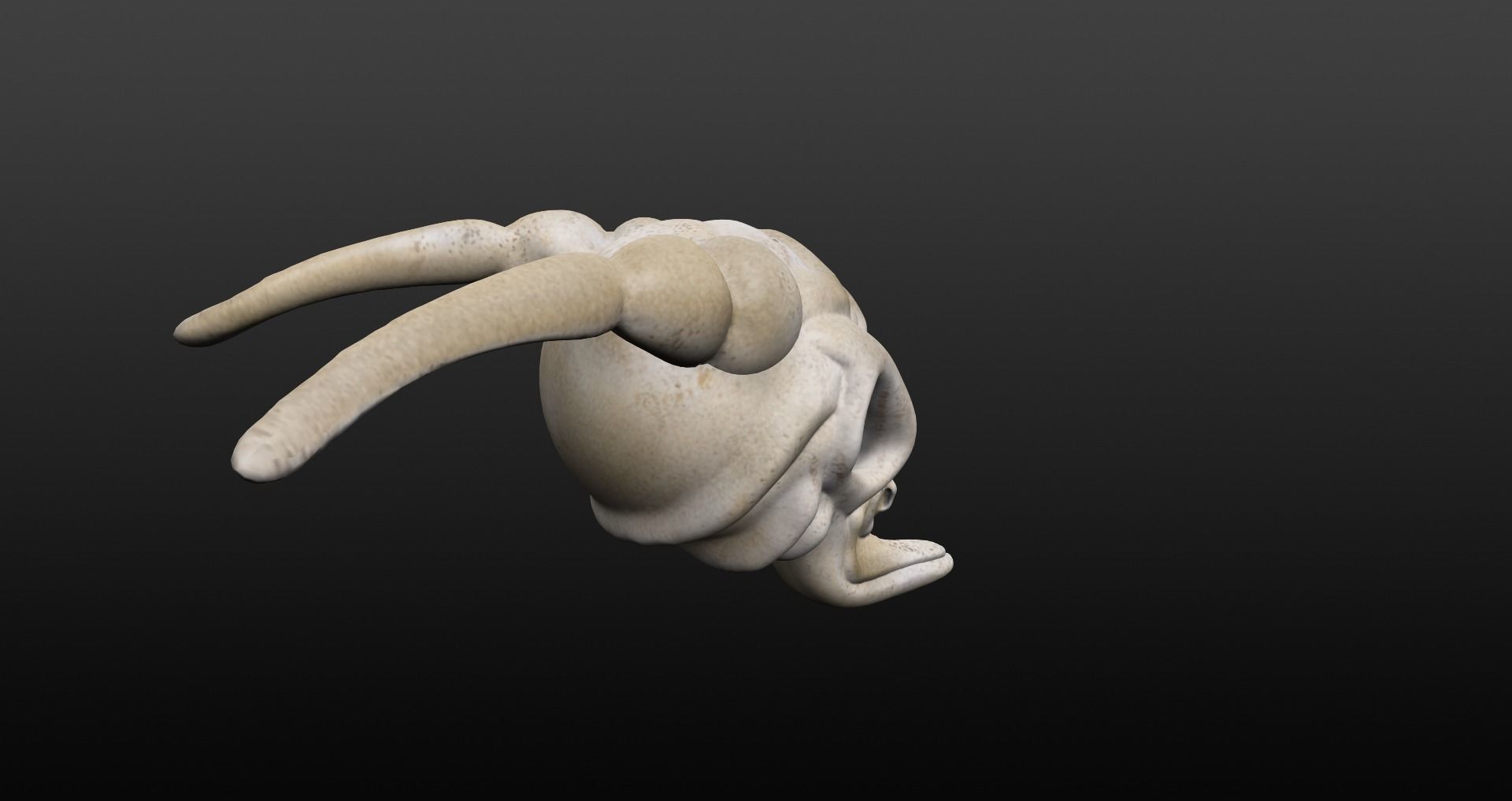 Skull goat head Low-poly 3D model_17