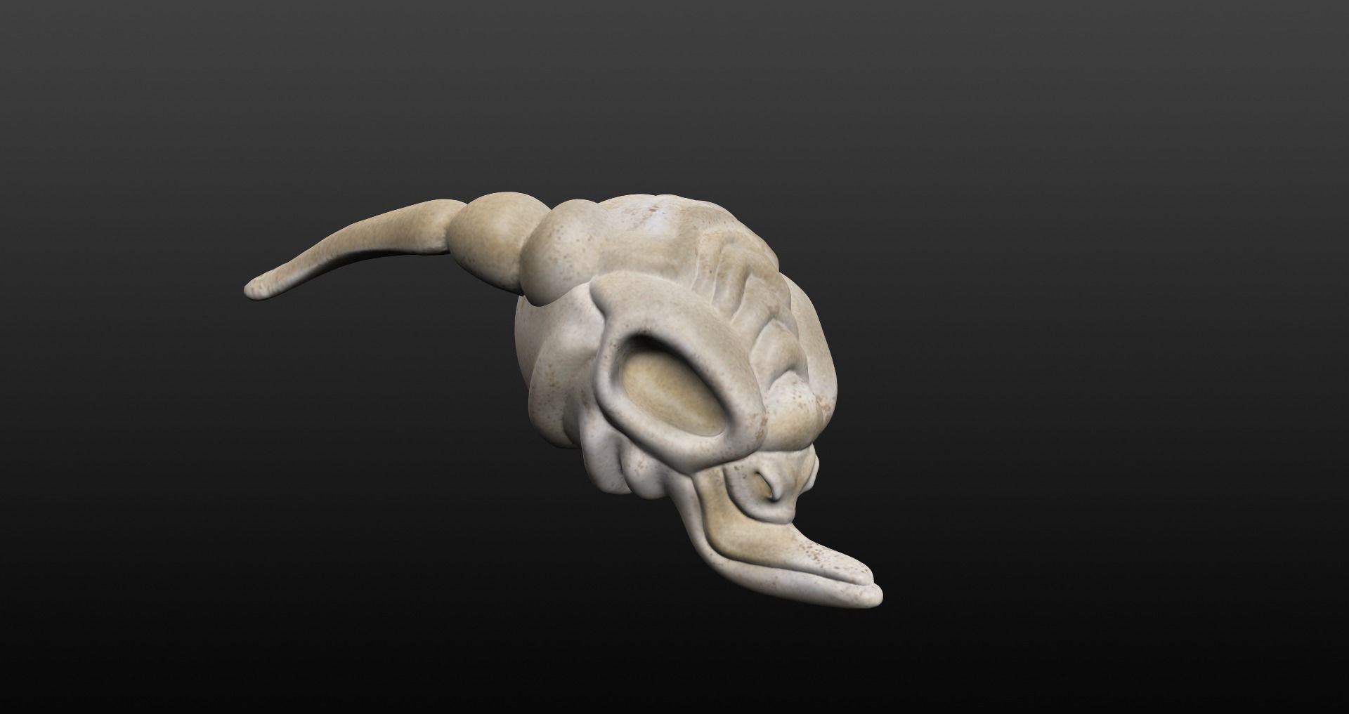 Skull goat head Low-poly 3D model_33