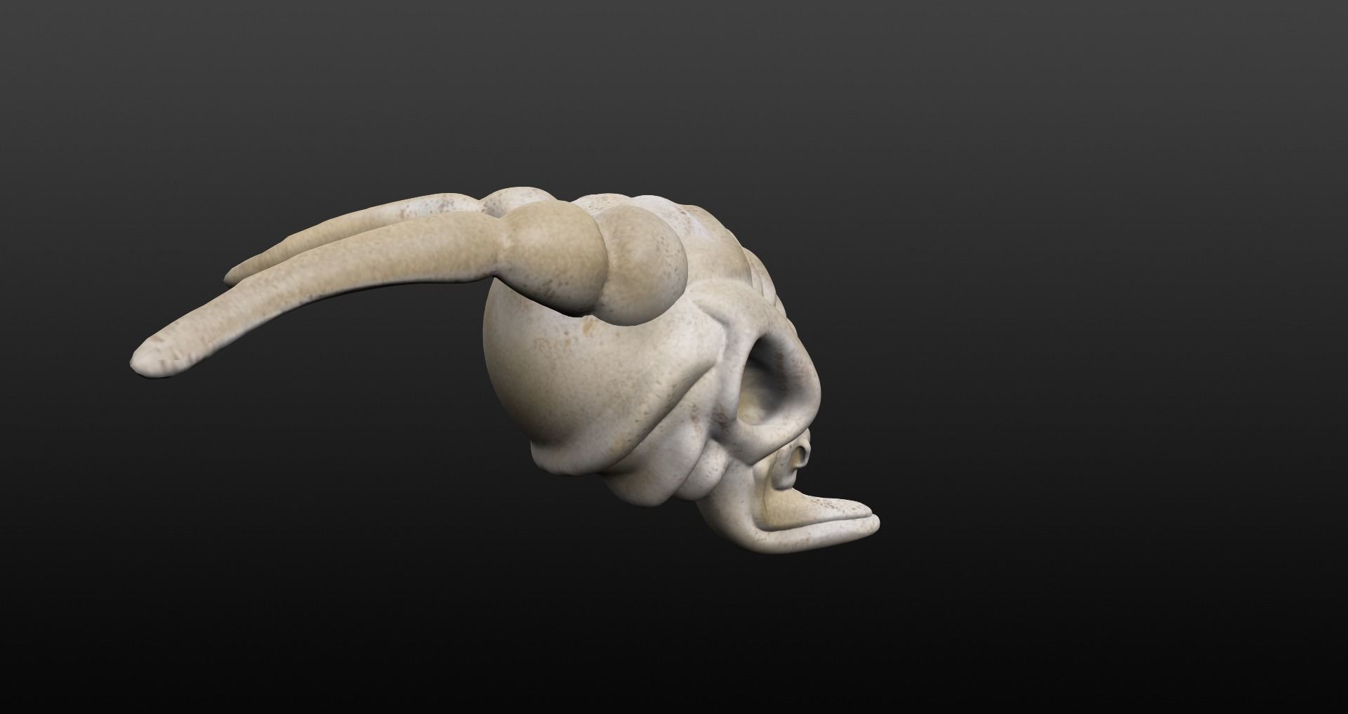 Skull goat head Low-poly 3D model_13