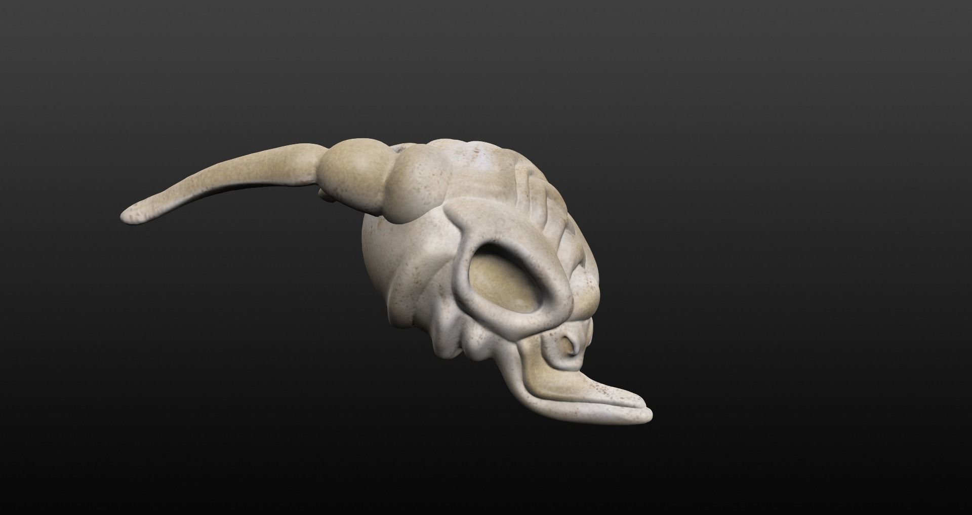 Skull goat head Low-poly 3D model_45