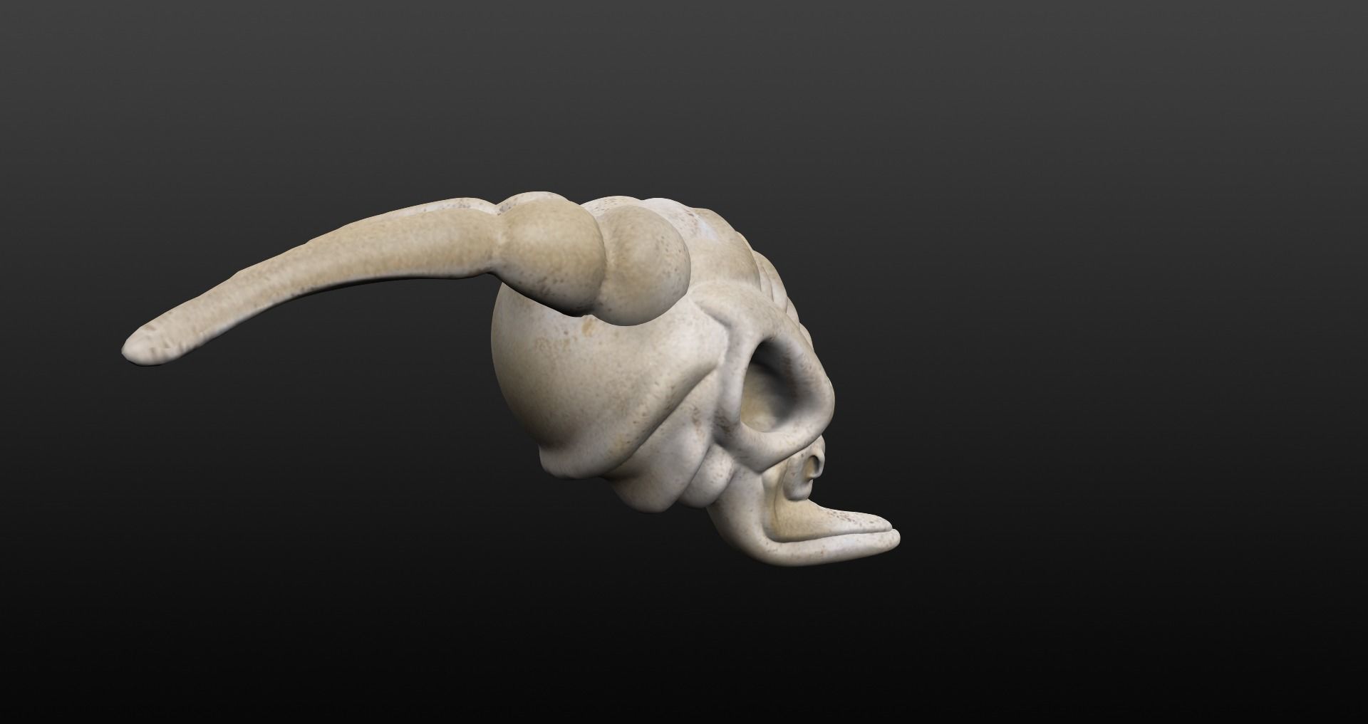 Skull goat head Low-poly 3D model_12