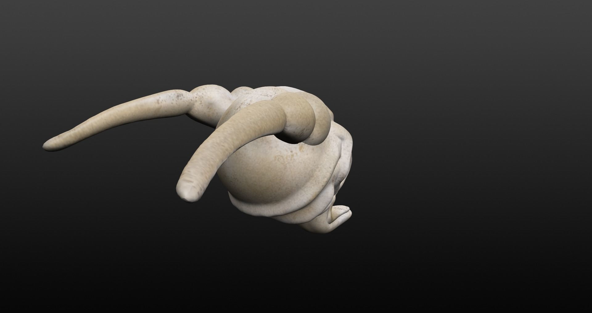 Skull goat head Low-poly 3D model_25