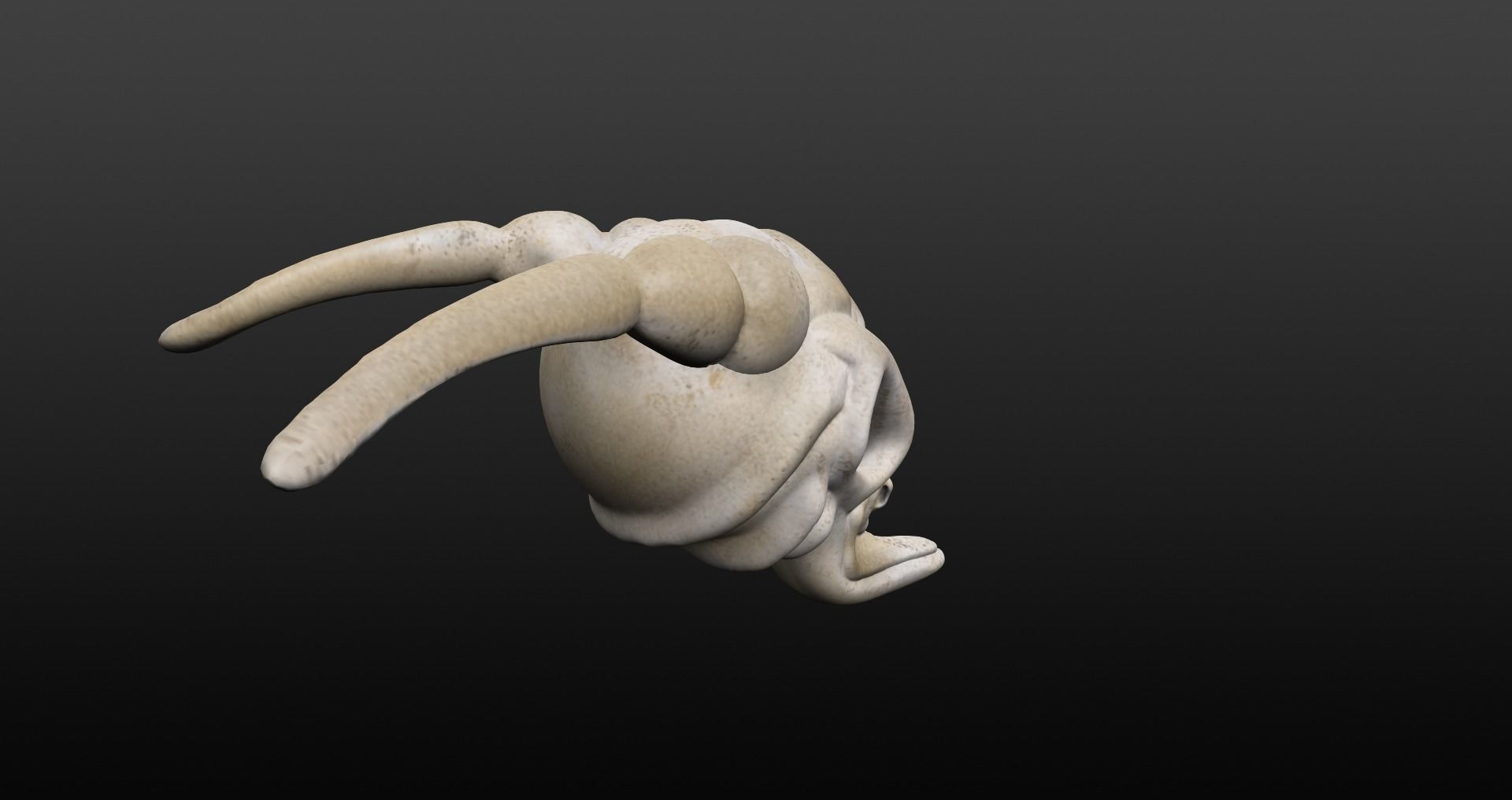 Skull goat head Low-poly 3D model_18