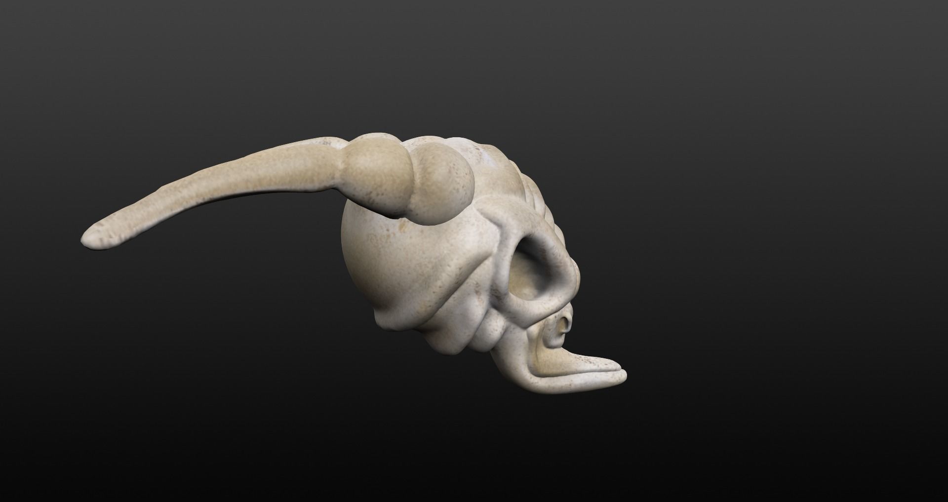 Skull goat head Low-poly 3D model_10