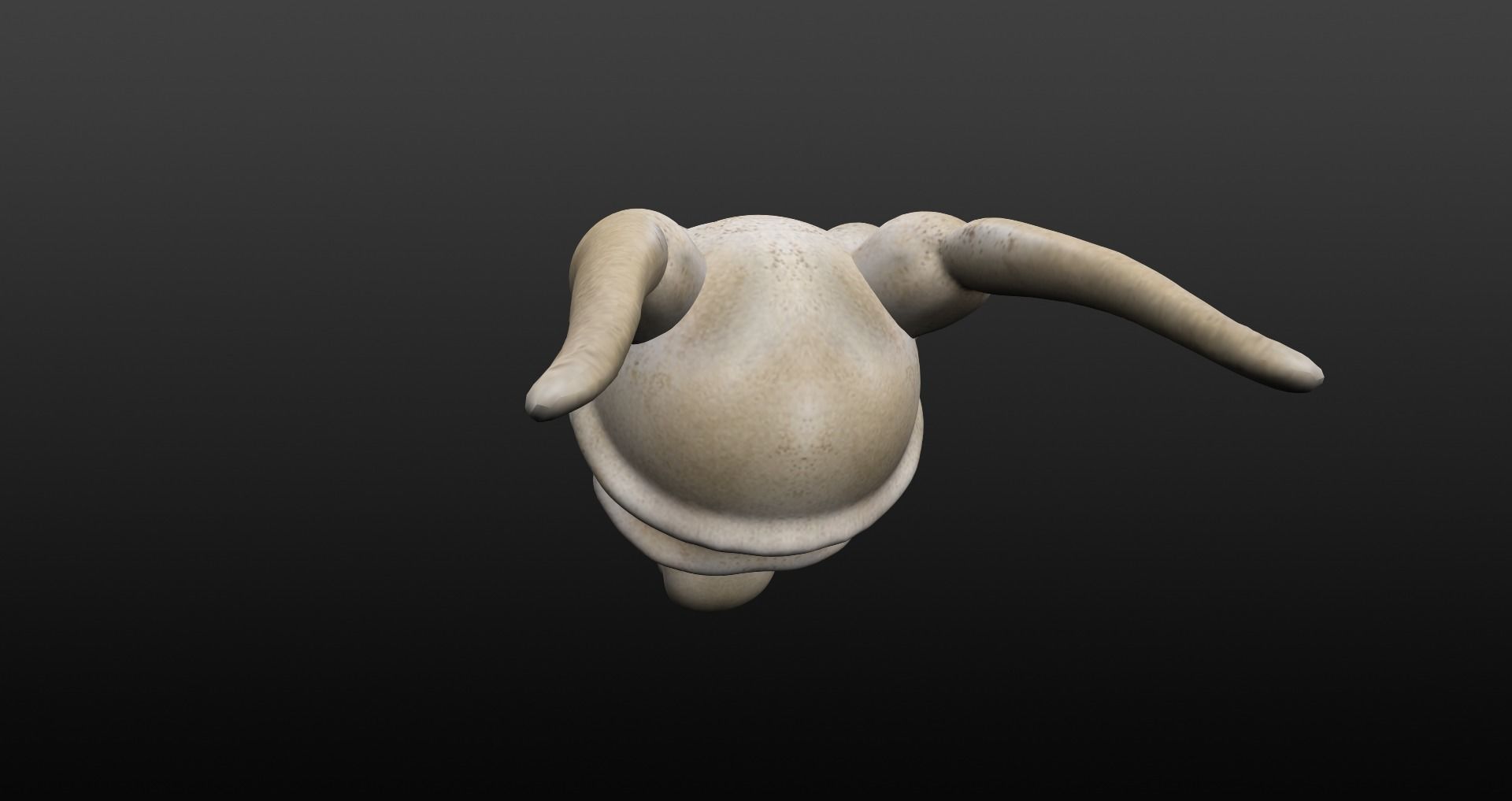 Skull goat head Low-poly 3D model_37