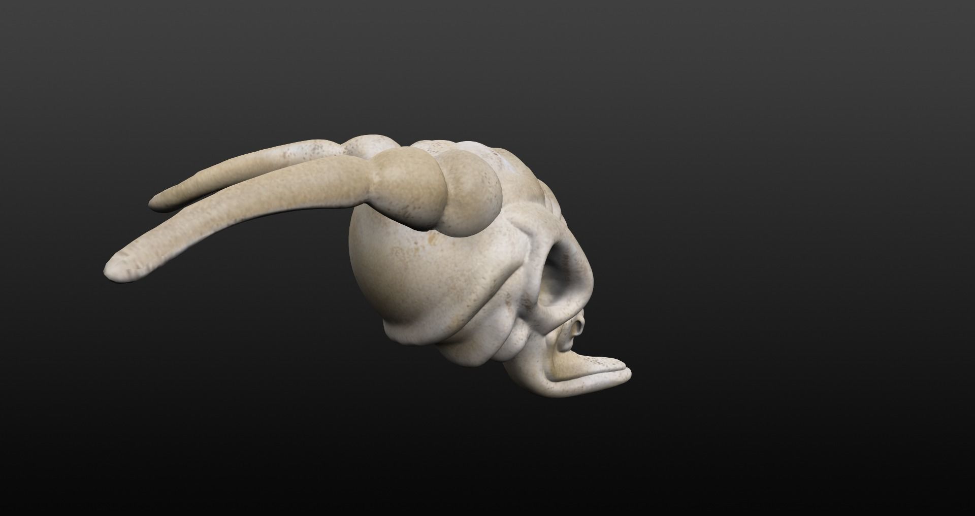 Skull goat head Low-poly 3D model_14