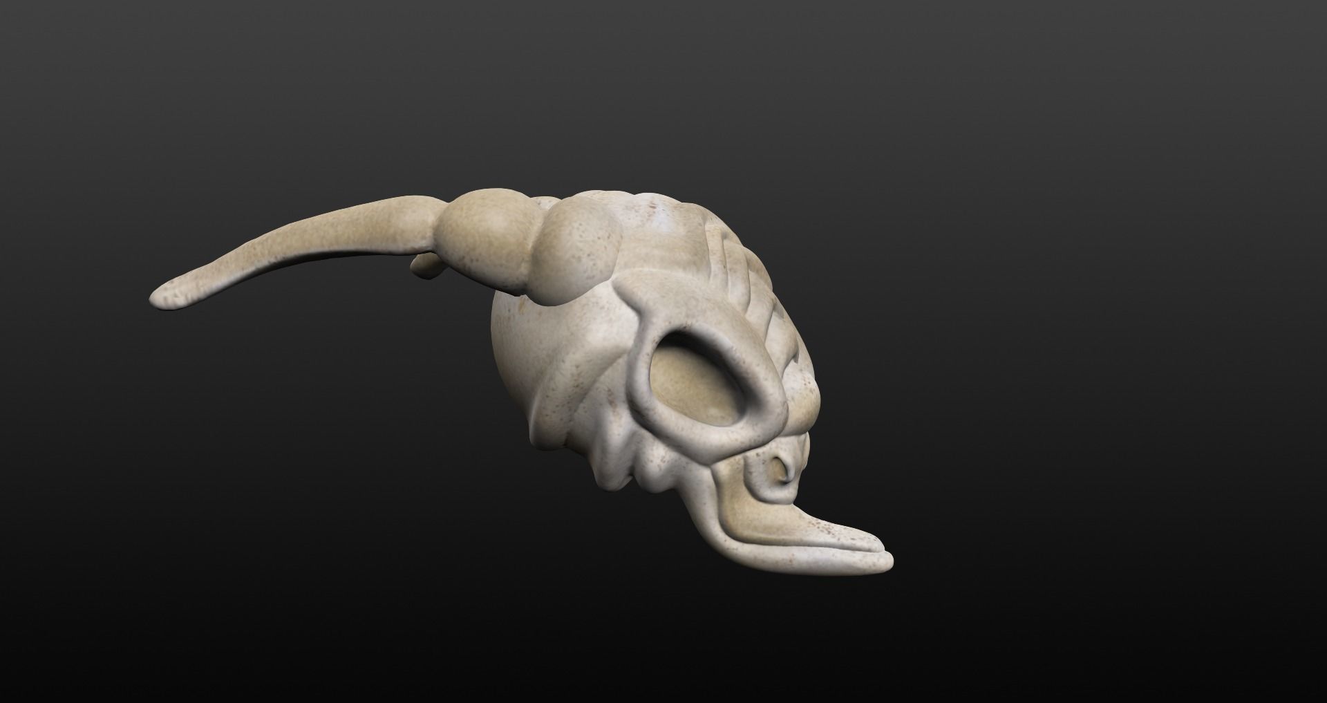 Skull goat head Low-poly 3D model_46