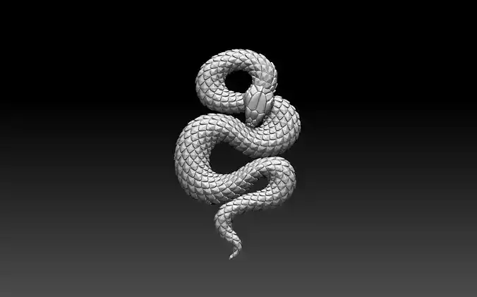 snake 3D print model