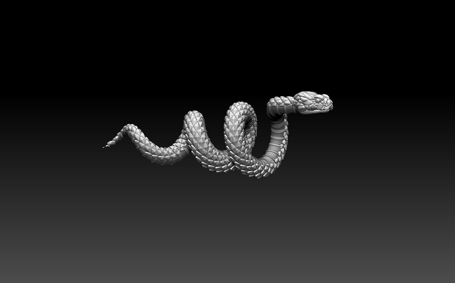 snake 3D print model_33