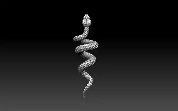 snake 3D print model