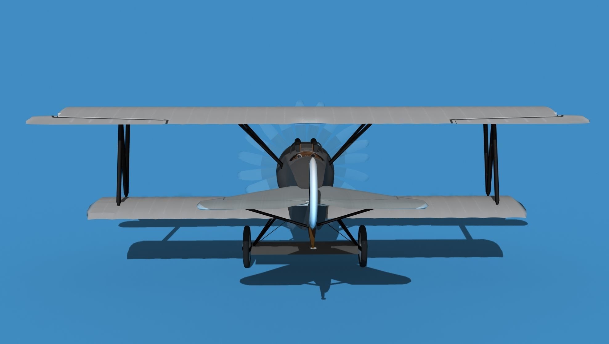 Fokker D-VI V00 3D model_6