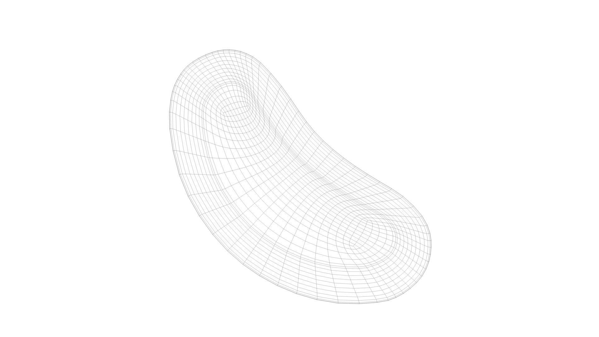 kidney bowl  3D model_8