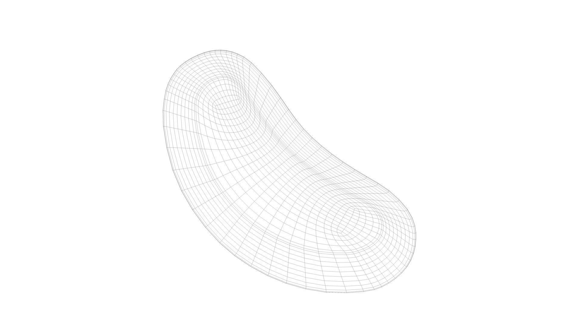 kidney bowl  3D model_9