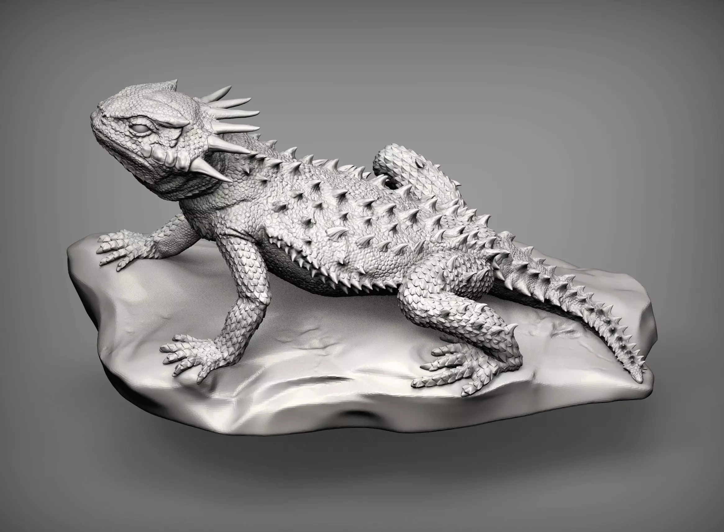 Flat-horned toad lizard Phrynosoma platyrhinos 3D print model