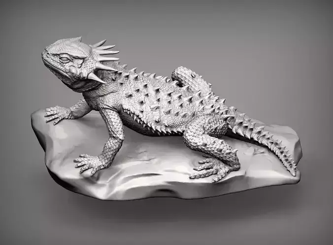 Flat-horned toad lizard  Phrynosoma platyrhinos 3D print model