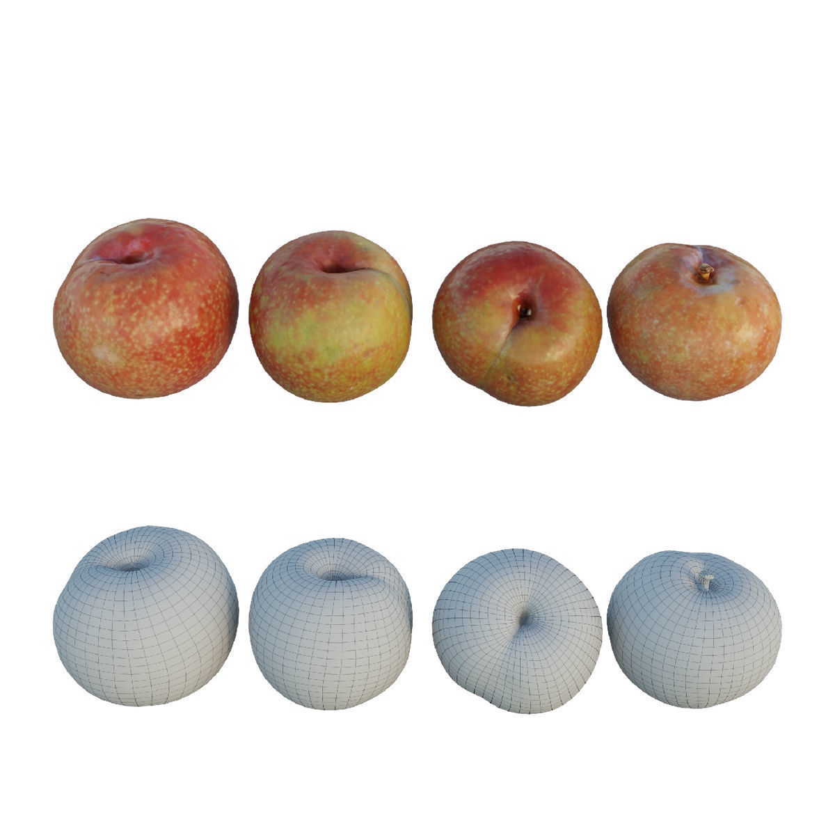 Plum fruit 3D model_3