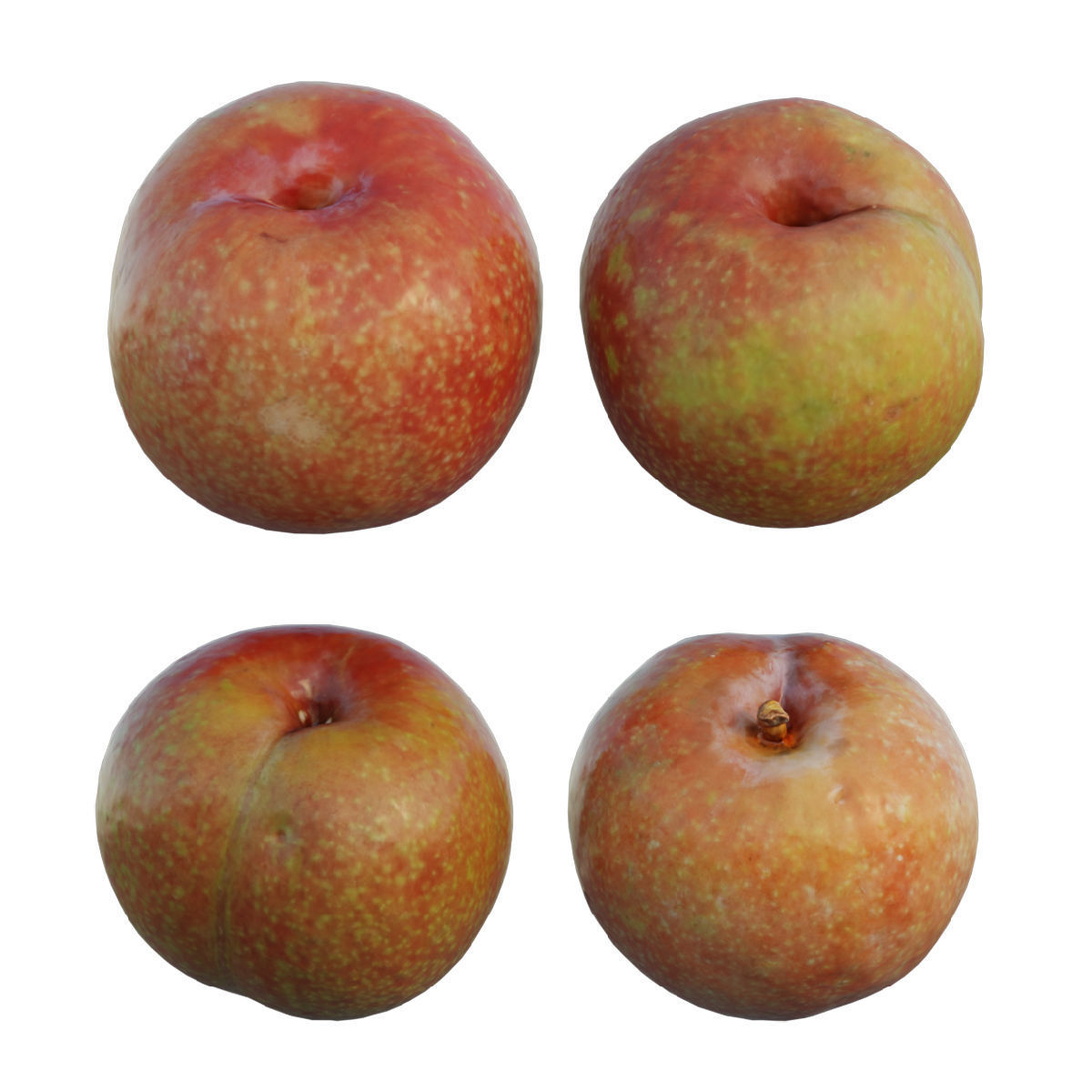 Plum fruit 3D model_1