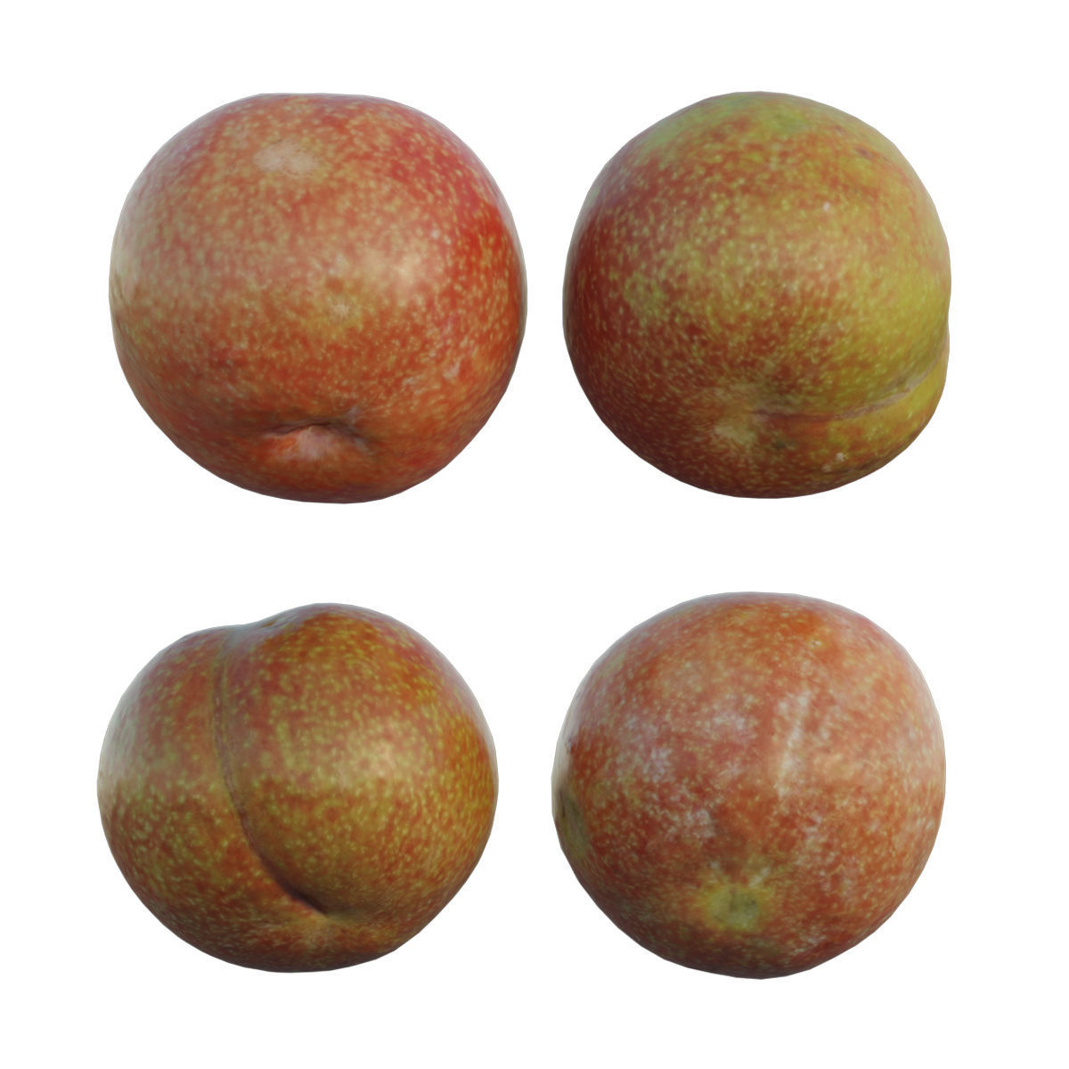 Plum fruit 3D model_2