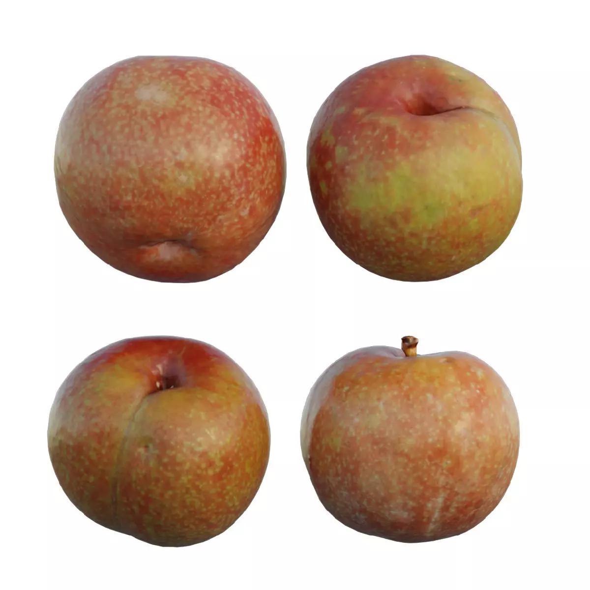 Plum fruit 3D model_0