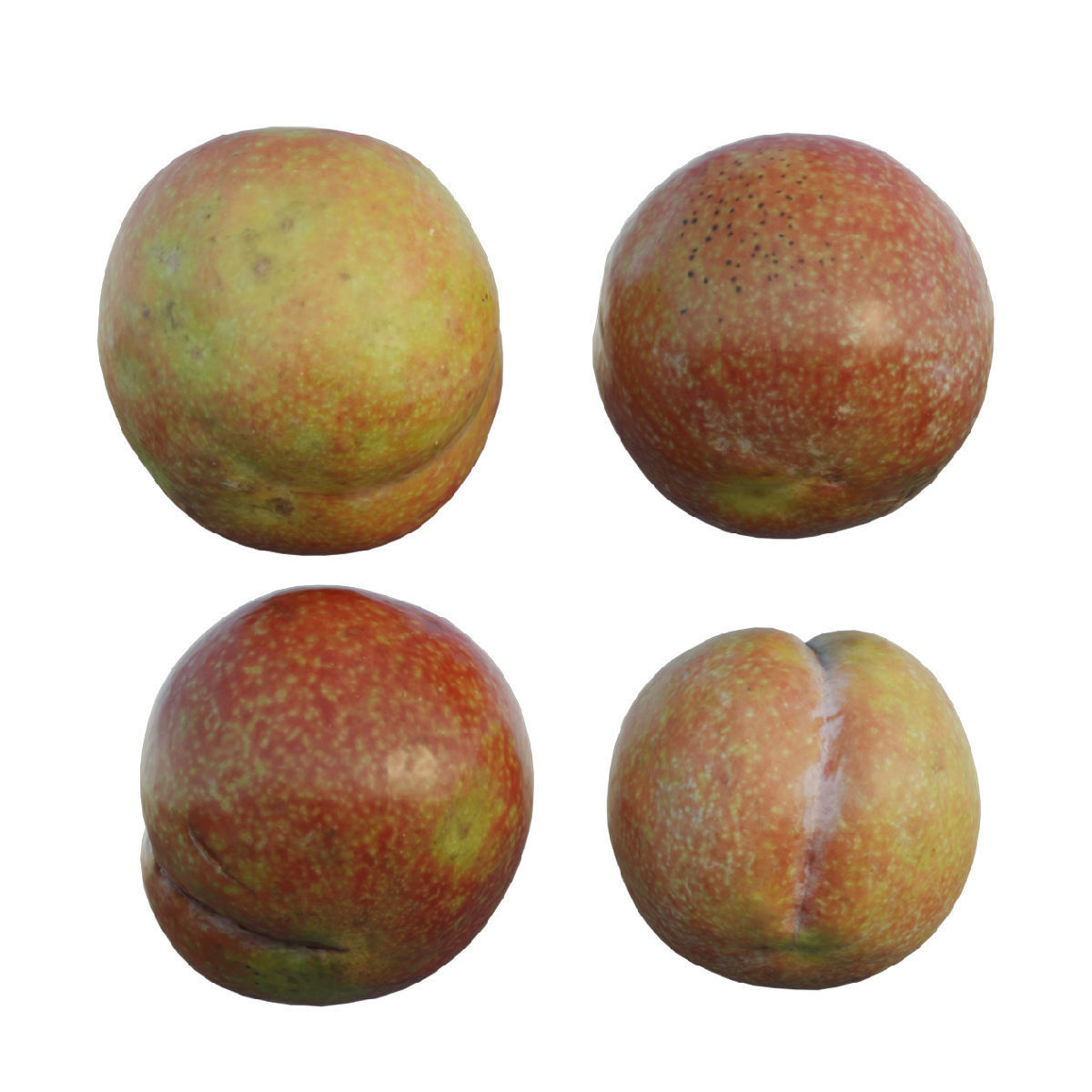Plum 02 3D model_2