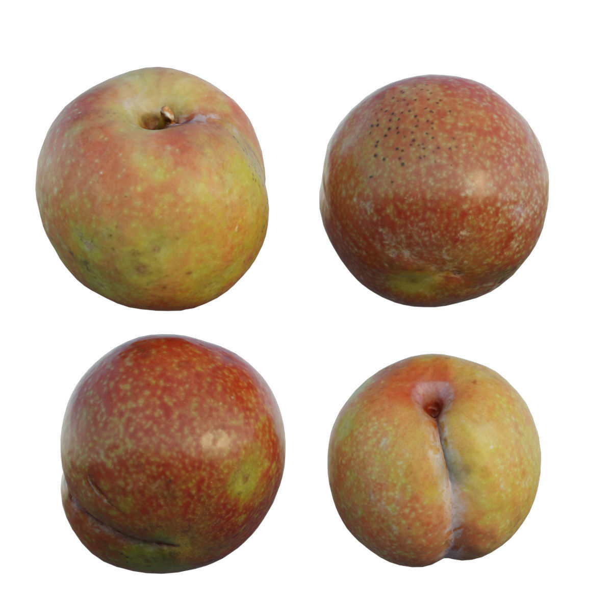 Plum 02 3D model_1