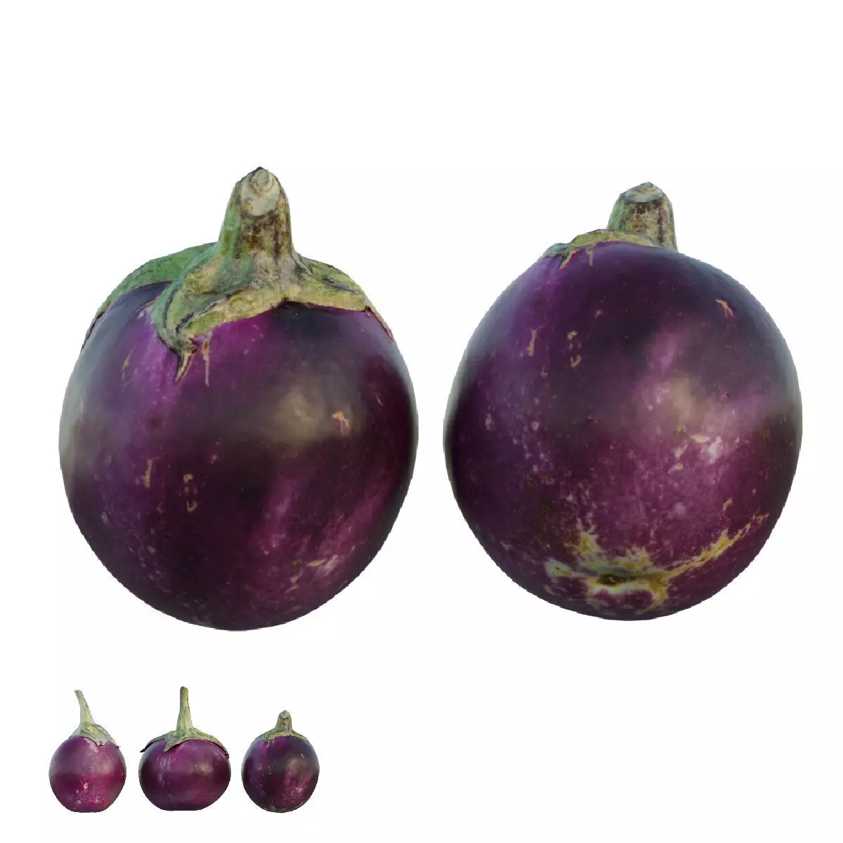 Eggplant 3D model