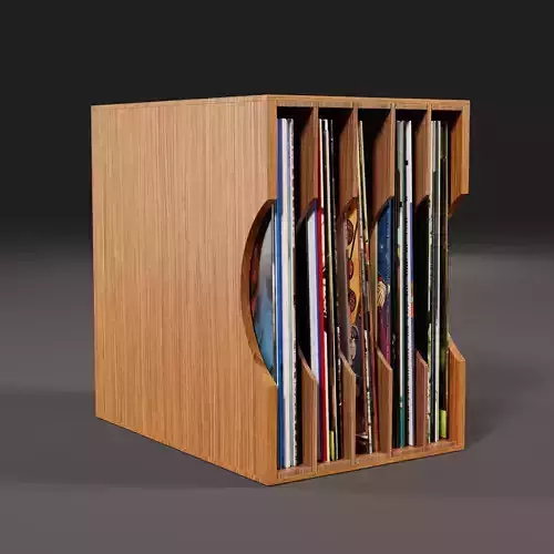 Vinyl Storage No48