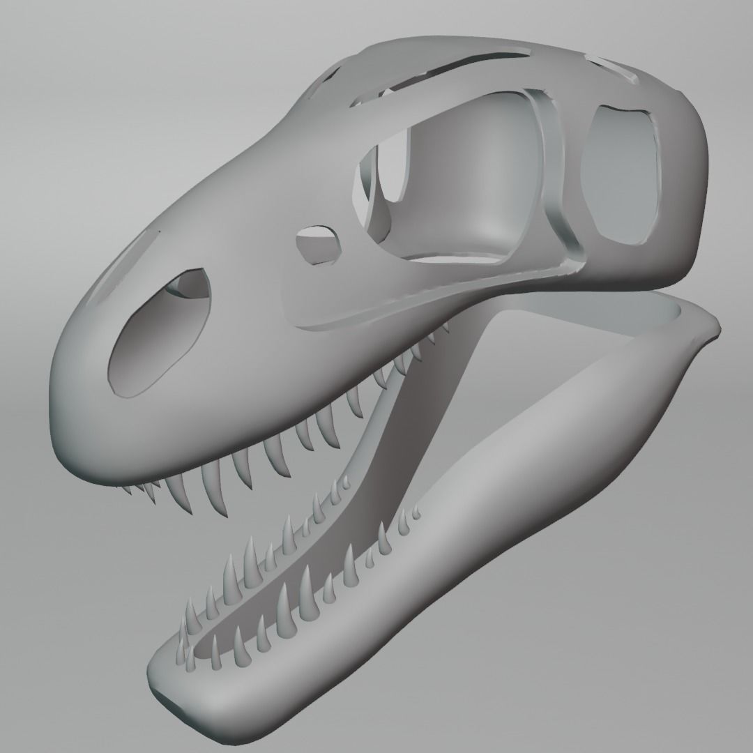 Tyrannosaurus Rex Skull 3D model_5