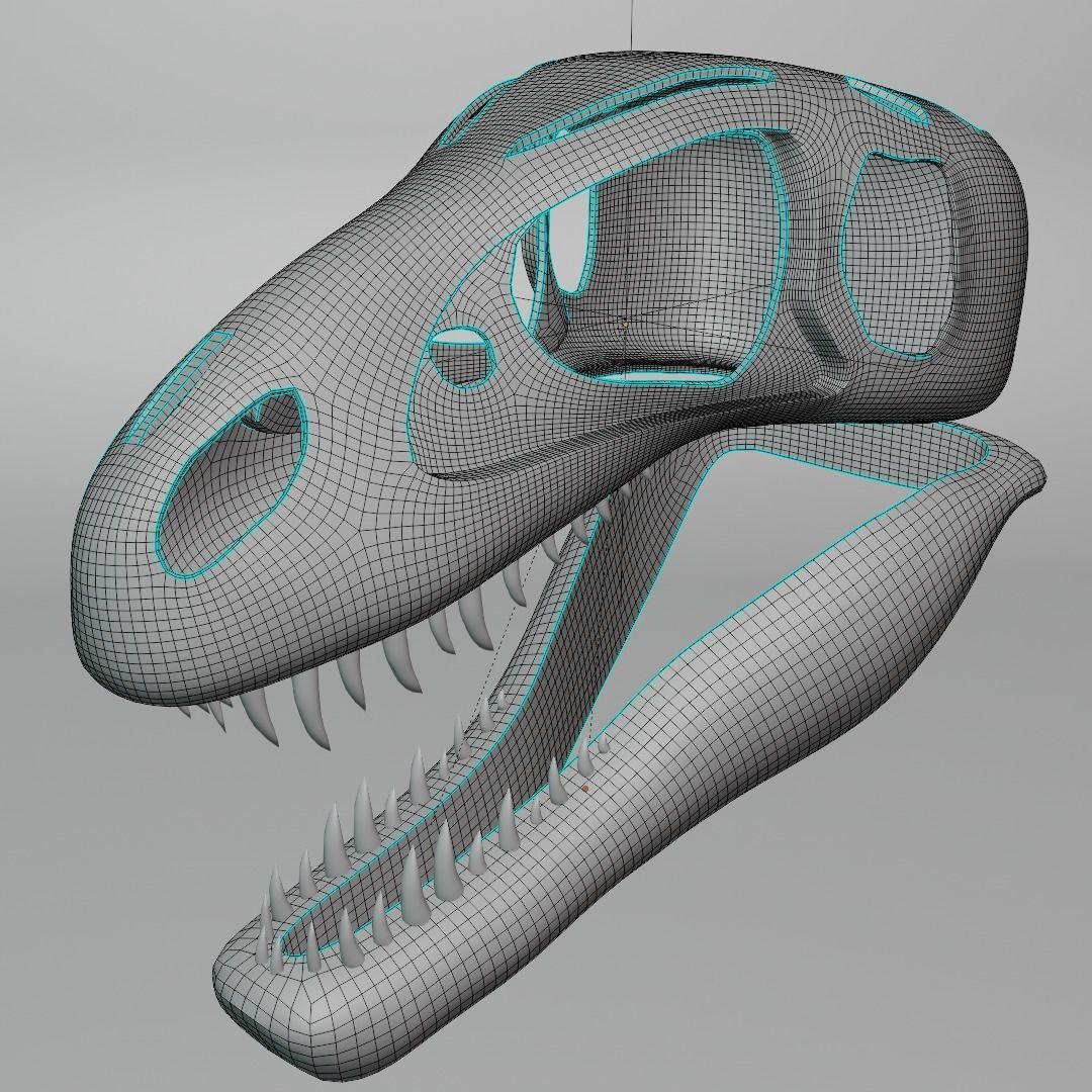 Tyrannosaurus Rex Skull 3D model_4