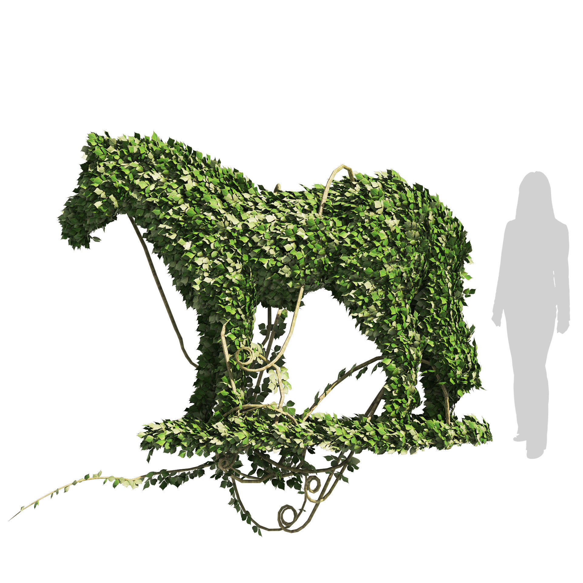 Topiary horse sculpture plant 3D model_9