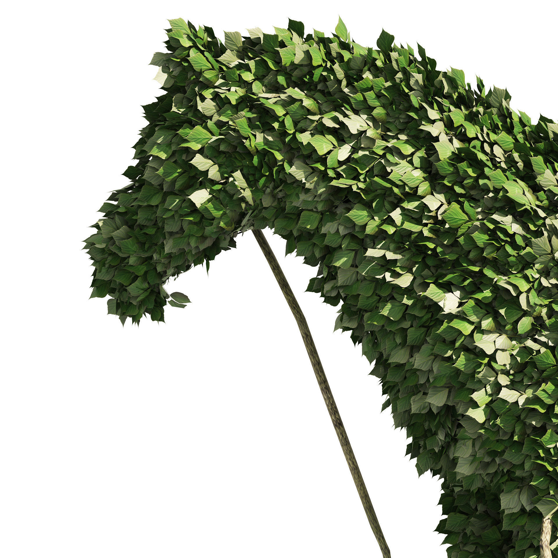 Topiary horse sculpture plant 3D model_3