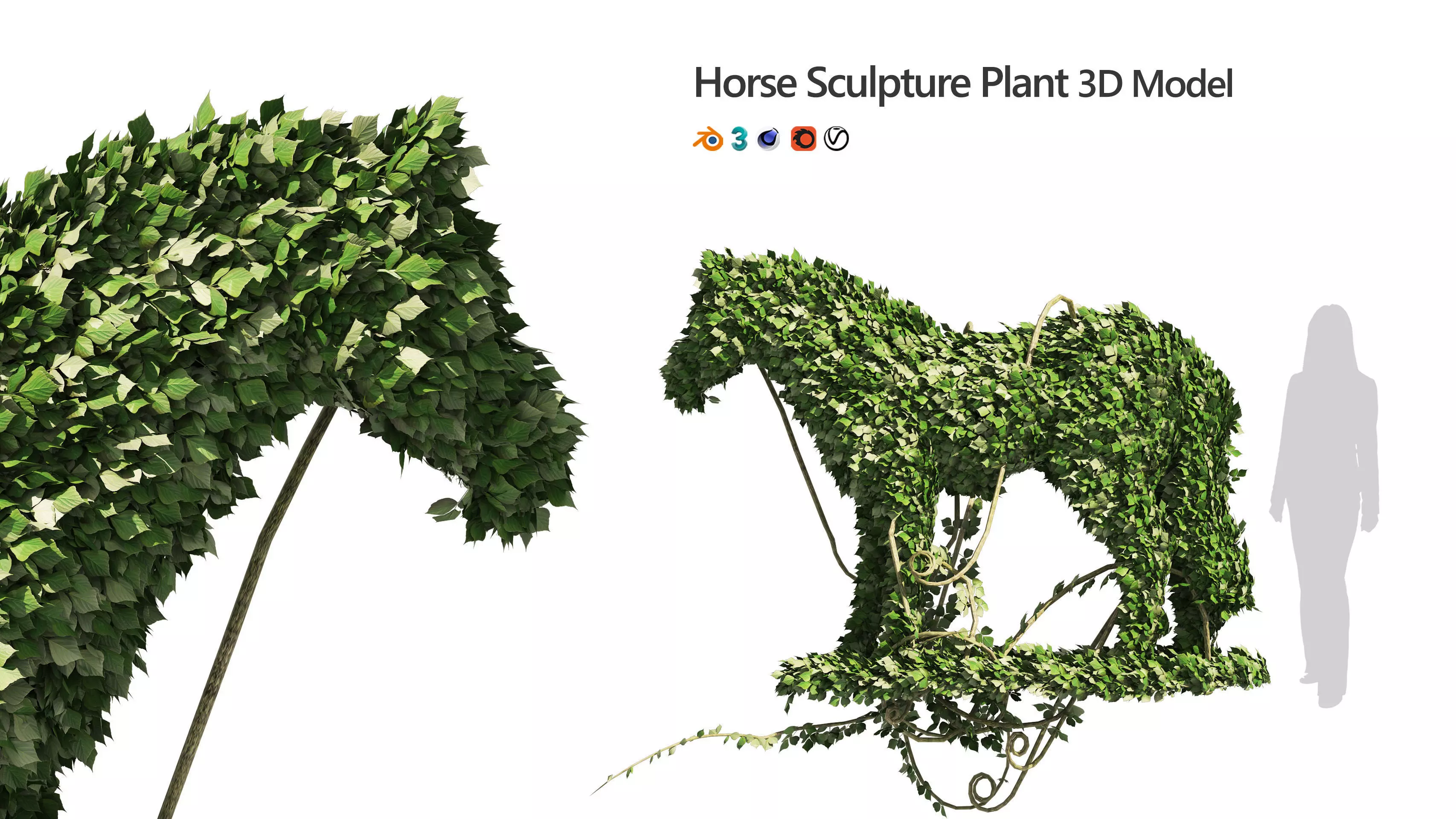 Topiary horse sculpture plant 3D model_0