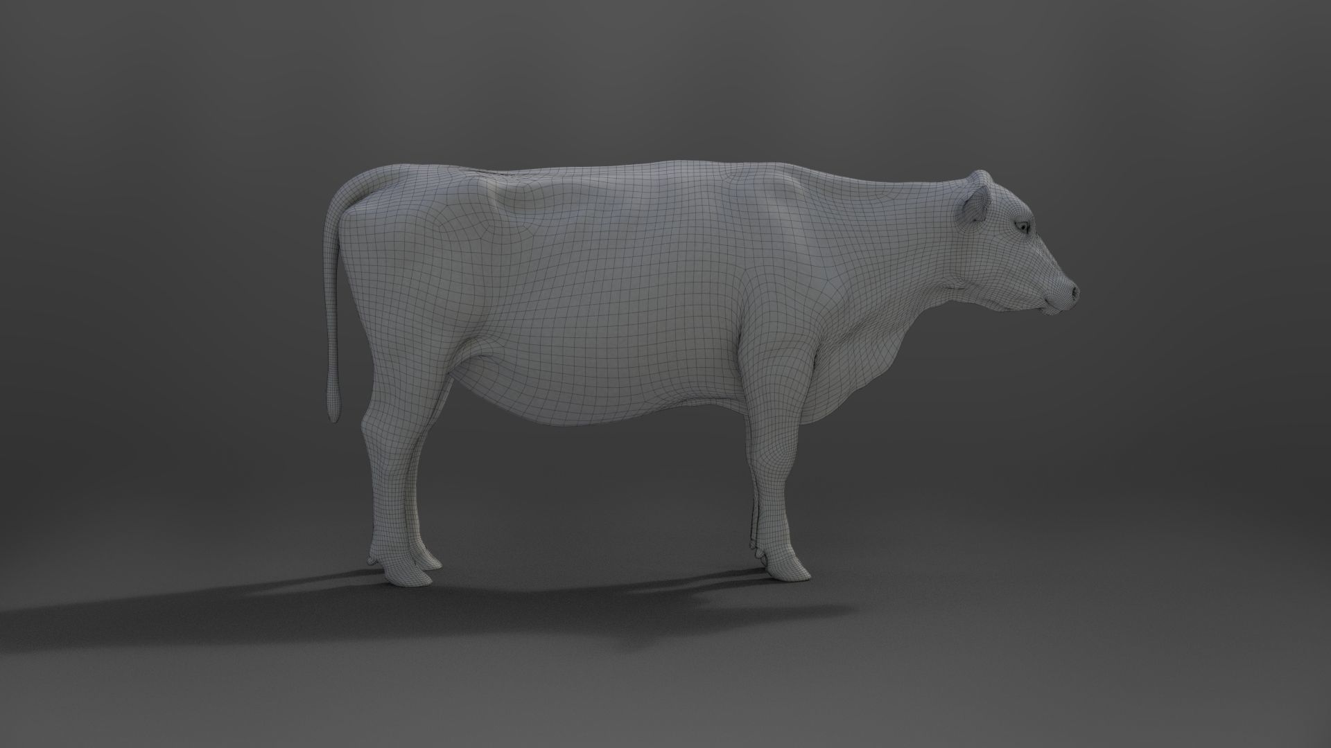 Black Cattle Animated VFX Grace 3D model_34