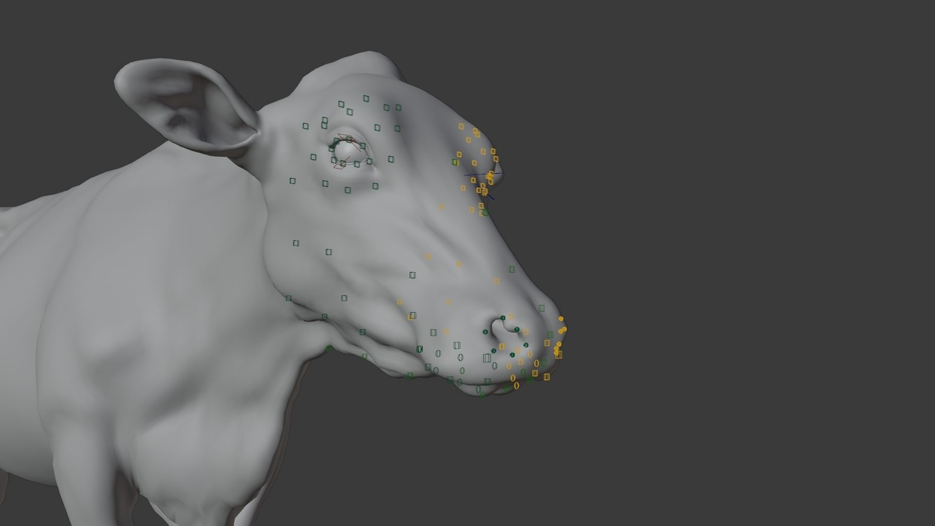 Black Cattle Animated VFX Grace 3D model_29