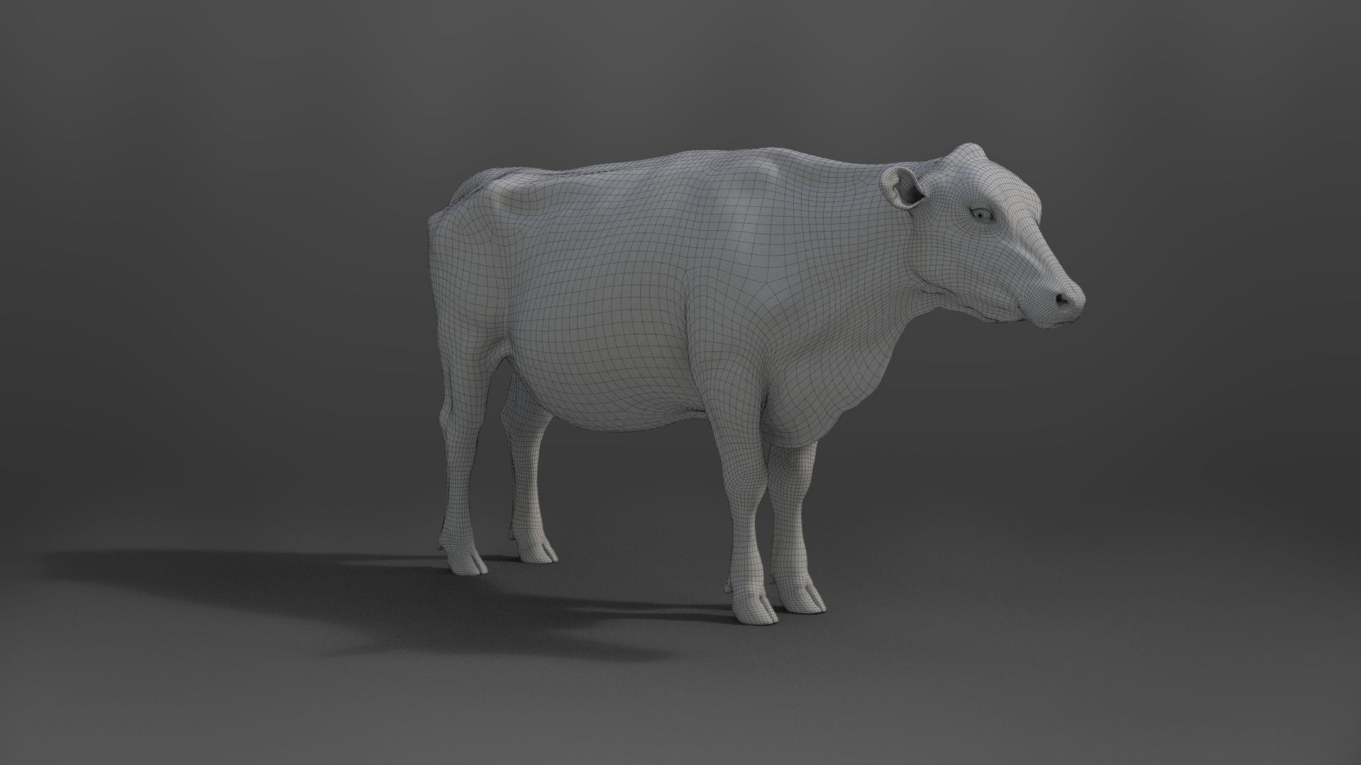 Black Cattle Animated VFX Grace 3D model_35