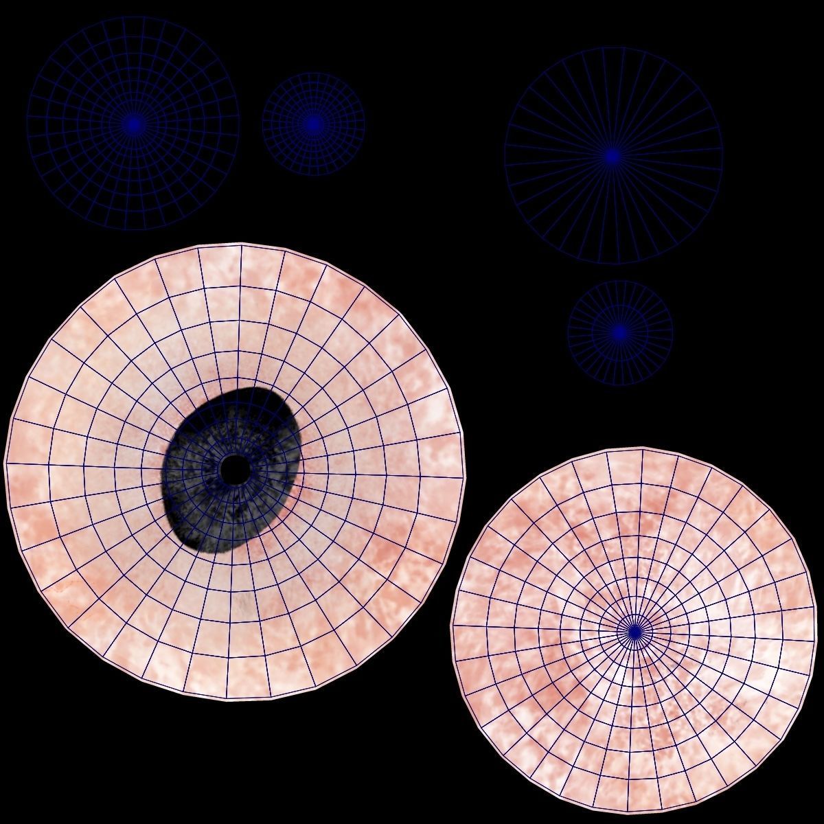 Black Cattle Animated VFX Grace 3D model_30