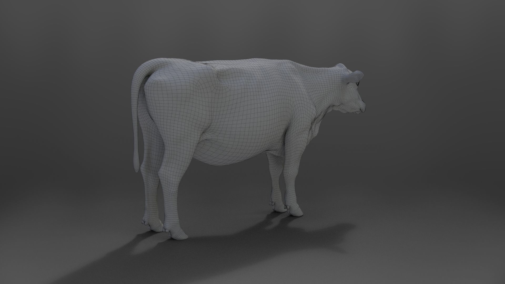 Black Cattle Animated VFX Grace 3D model_36