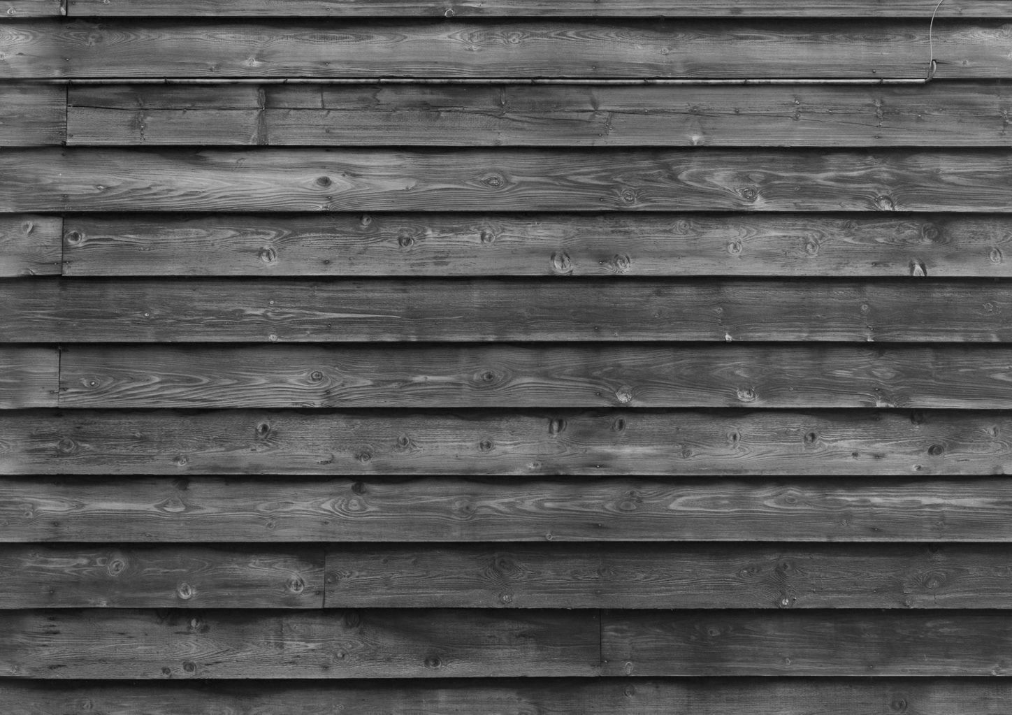 Showcase with fish and seafood 3D model_2