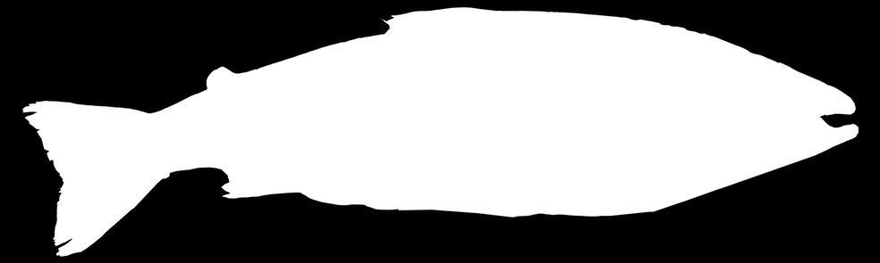 Showcase with fish and seafood 3D model_17