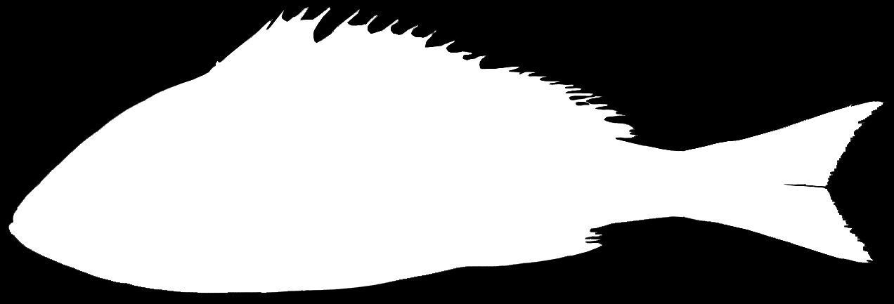 Showcase with fish and seafood 3D model_12