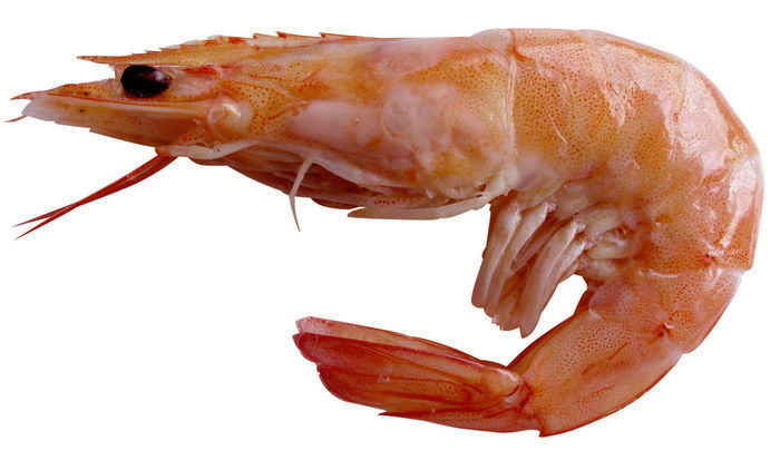 Showcase with fish and seafood 3D model_34