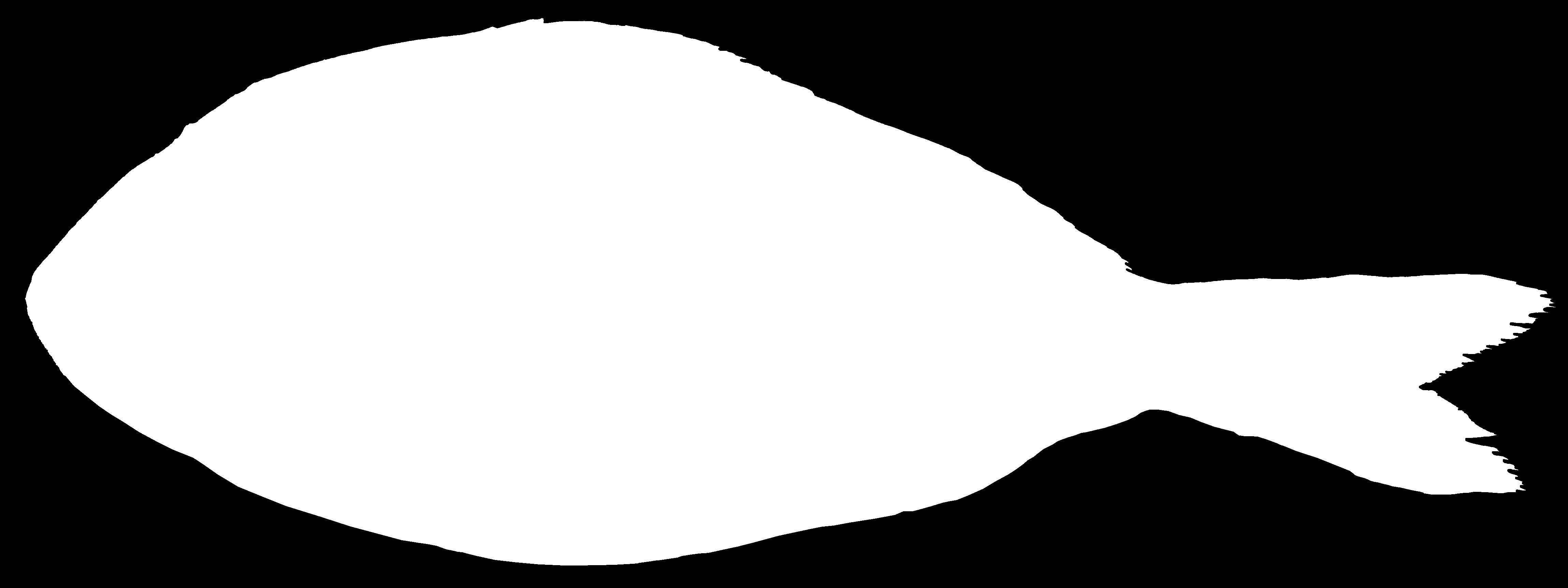 Showcase with fish and seafood 3D model_6