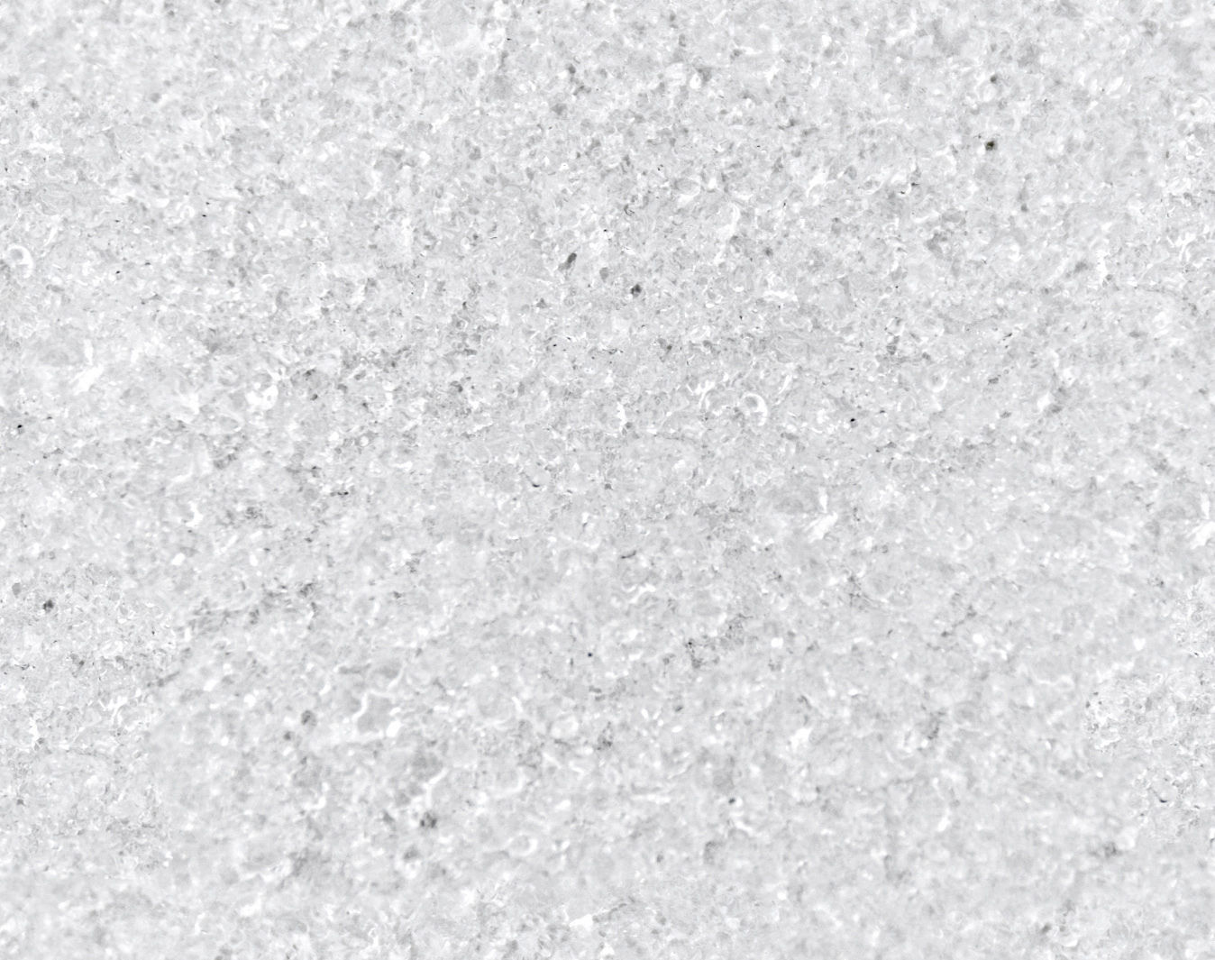 Showcase with fish and seafood 3D model_21