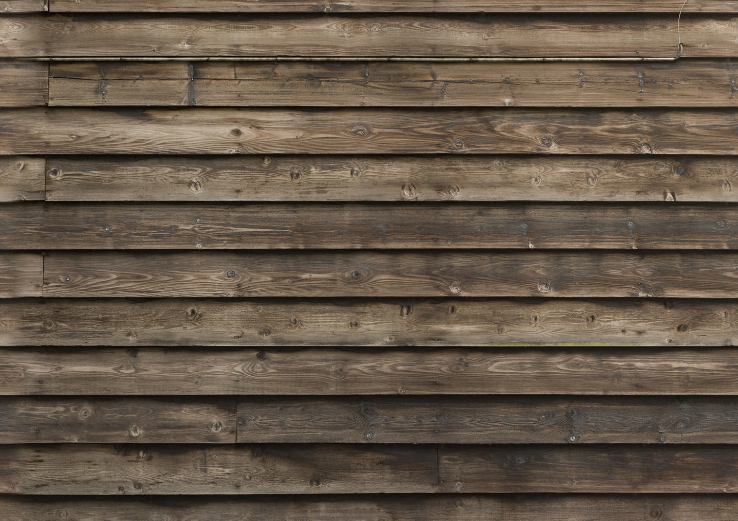 Showcase with fish and seafood 3D model_1